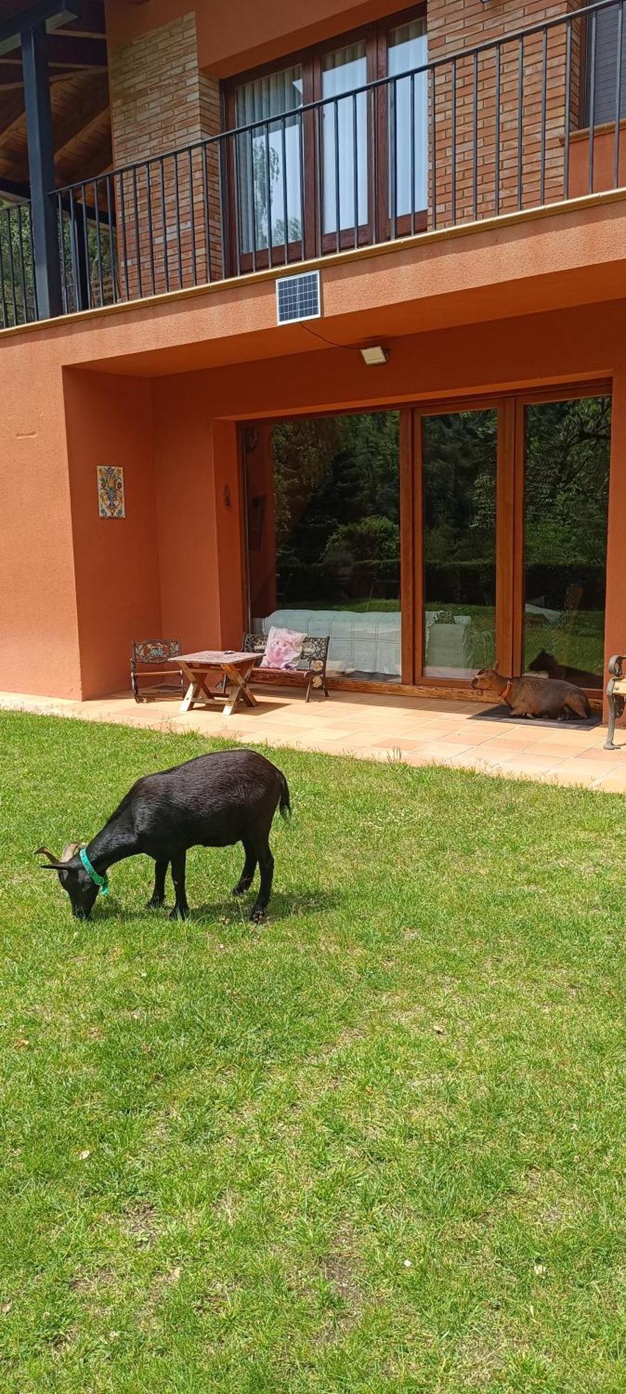 Ca La Montse Villa Viladrau Eksteriør billede
