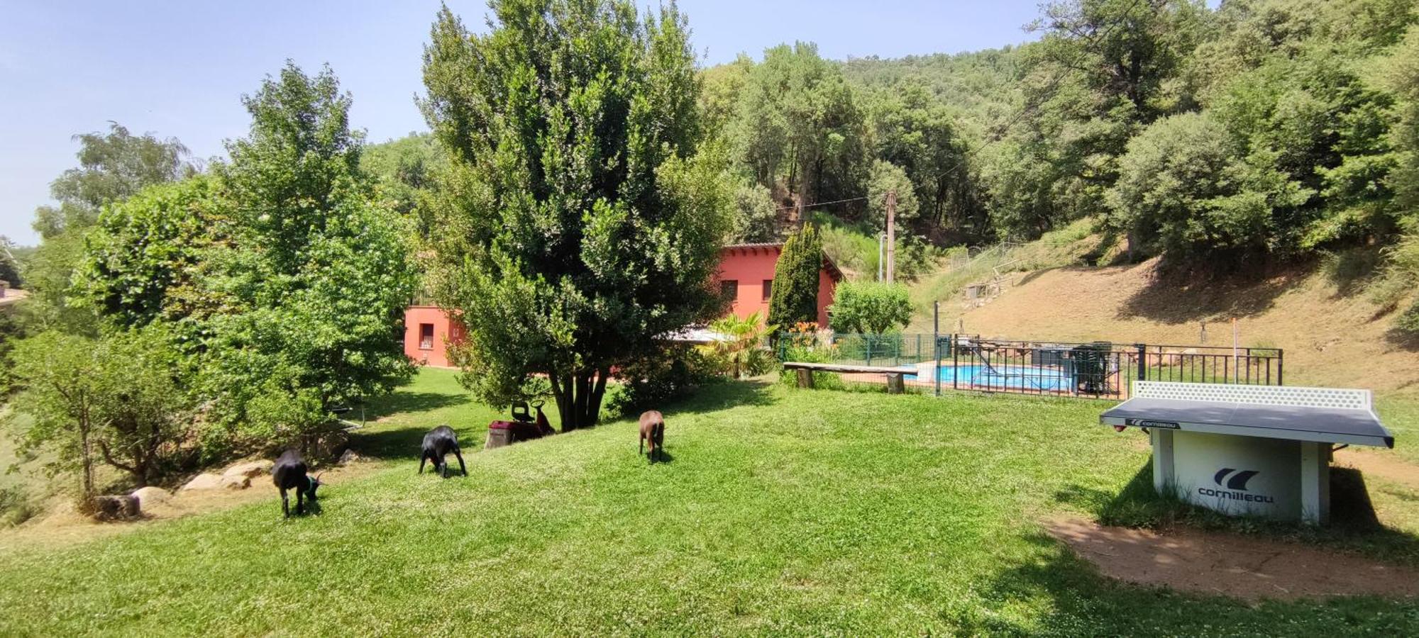Ca La Montse Villa Viladrau Eksteriør billede